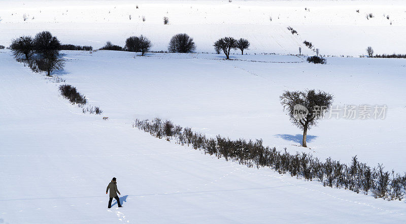 在白雪皑皑的平原上可以看到树木和线条灌木。 人类走向树木的背景